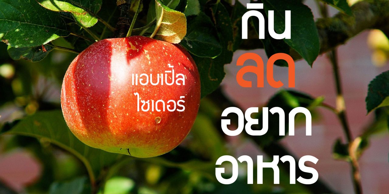 แอบเปิ้ลไซเดอร์ กินลดอยากอาหาร