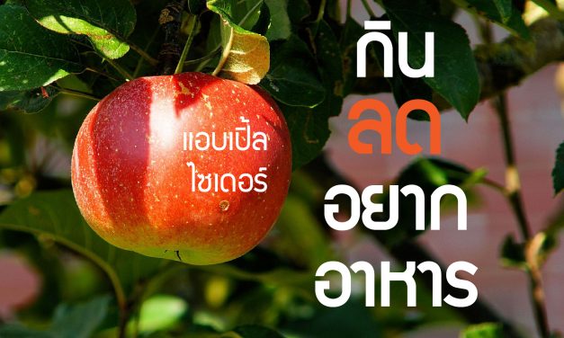 แอบเปิ้ลไซเดอร์ กินลดอยากอาหาร