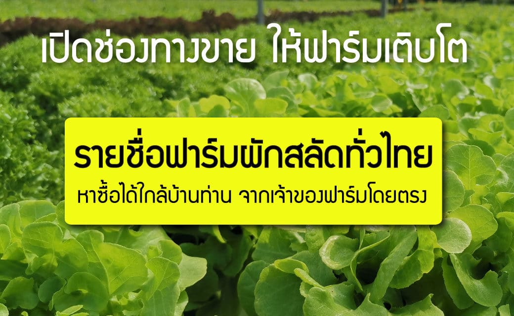 รายชื่อฟาร์มผักสลัด ผักผลไม้ ทั่วประเทศไทย