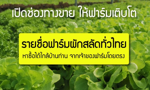 รายชื่อฟาร์มผักสลัด ผักผลไม้ ทั่วประเทศไทย